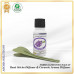 Reed Diffuser Refill for Reed Sticks Diffuser & Ceramic Aroma Diffuser