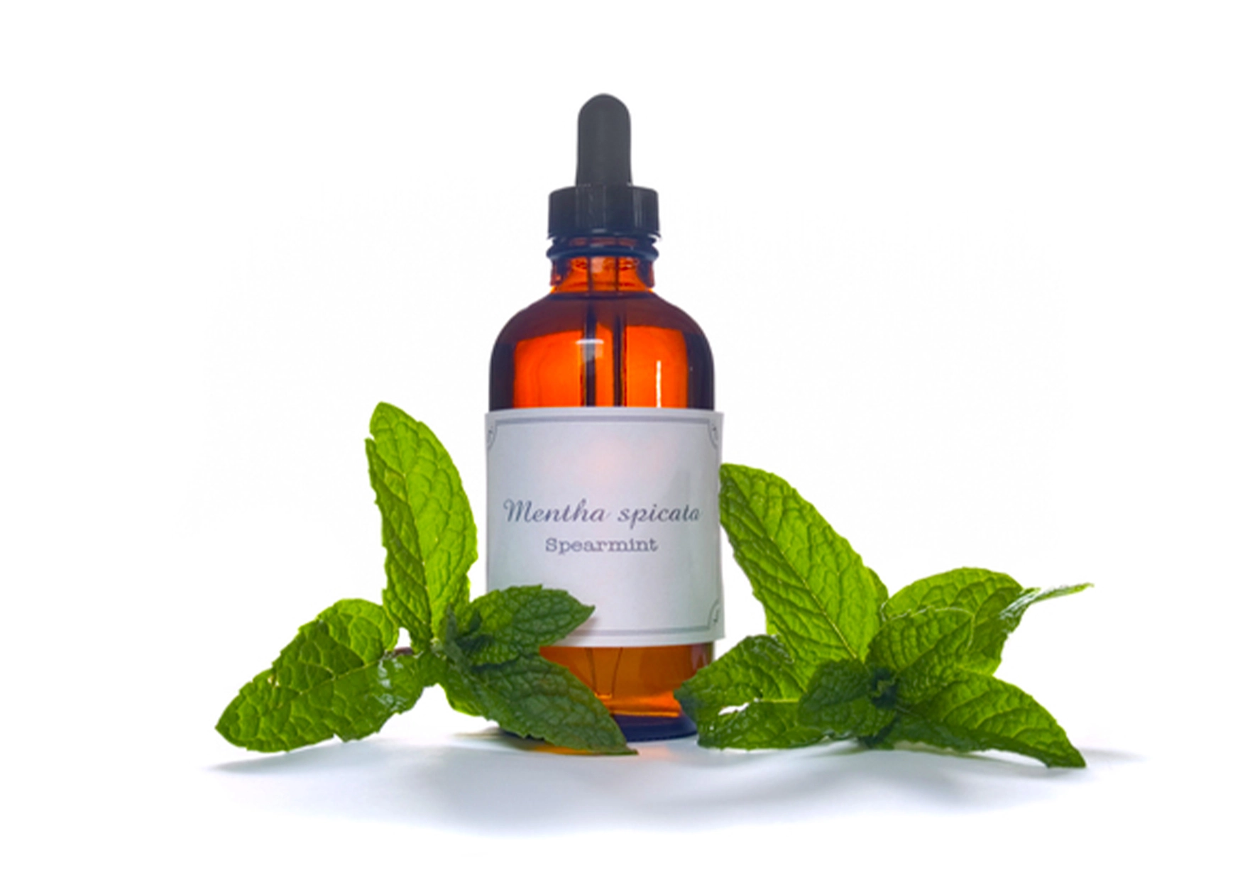 100% Pure Essential Oil - Spearmint (Mentha spicata)